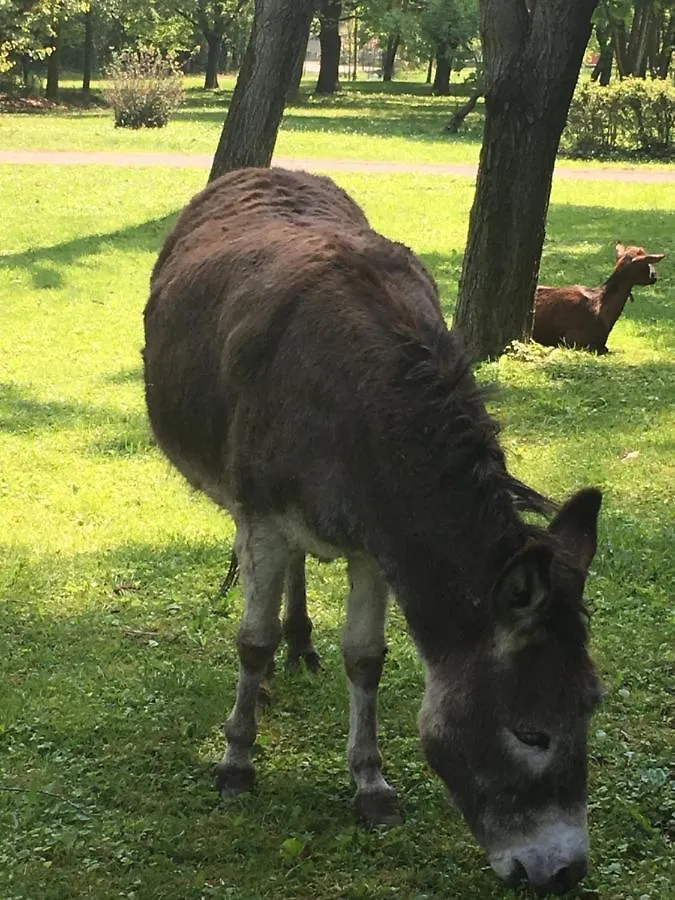 Bed & Breakfast B&B Parco Delle Sequoie Parma